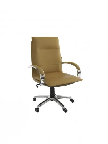 MANAGER PM ACCOUDOIRS CHROME